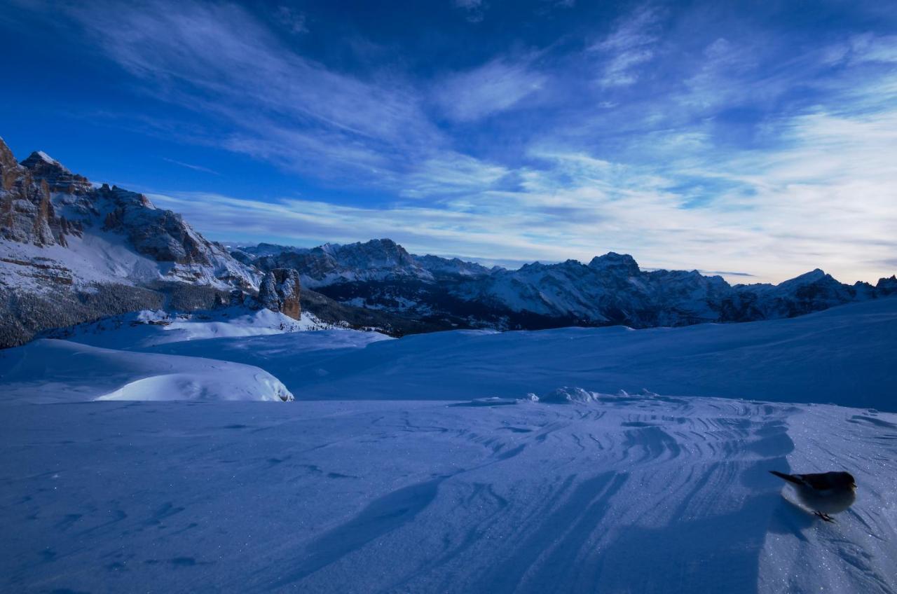 Hotel Cristallino d'Ampezzo Cortina dʼAmpezzo Esterno foto